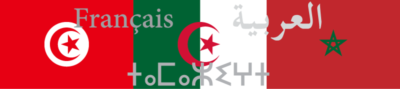 blog-image